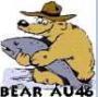 bear_au46