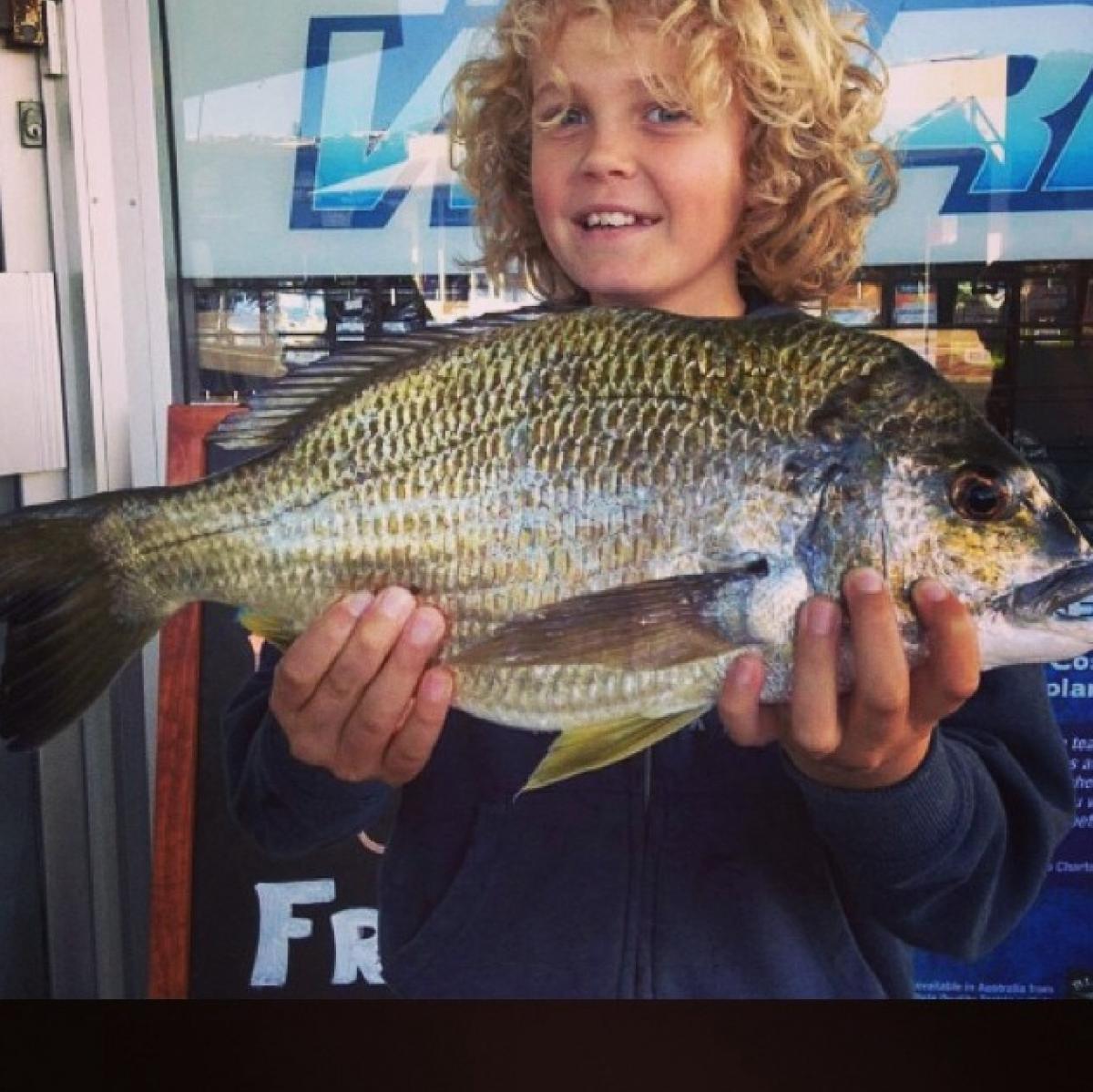 Breakwall bream - Fishing World Australia