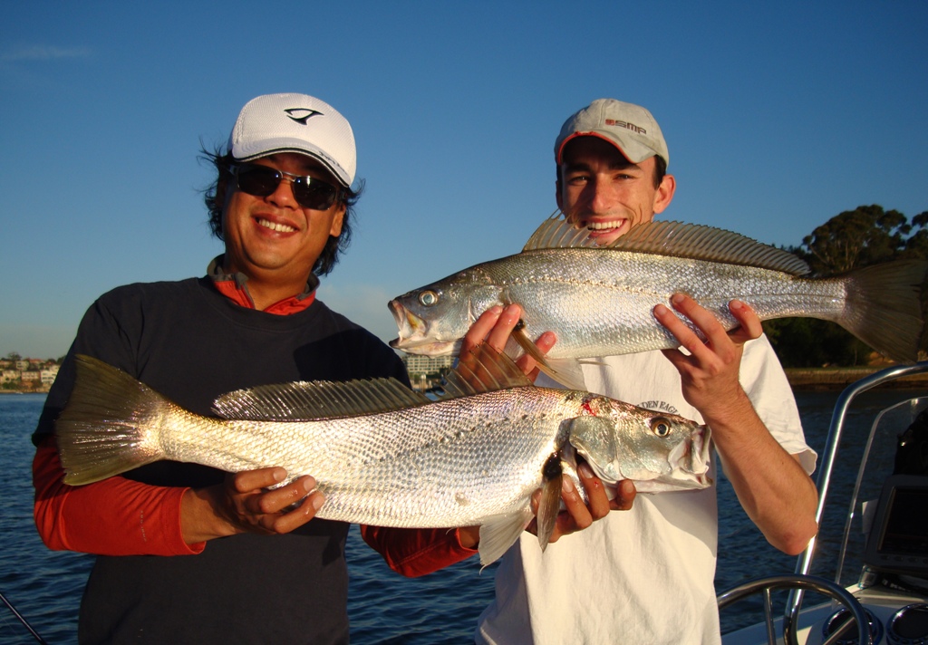 Night fishing with soft plastics produces the goods - Saltwater Fishing  Reports - DECKEE Community