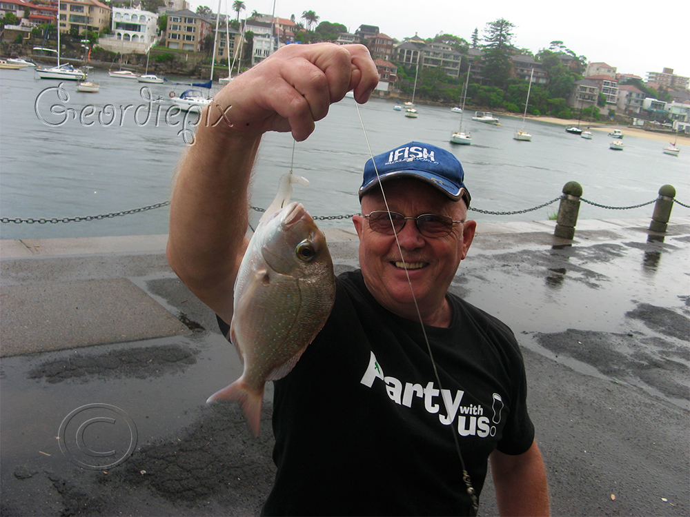 My ozzie angling adventures - Report 21 - Fishing Reports