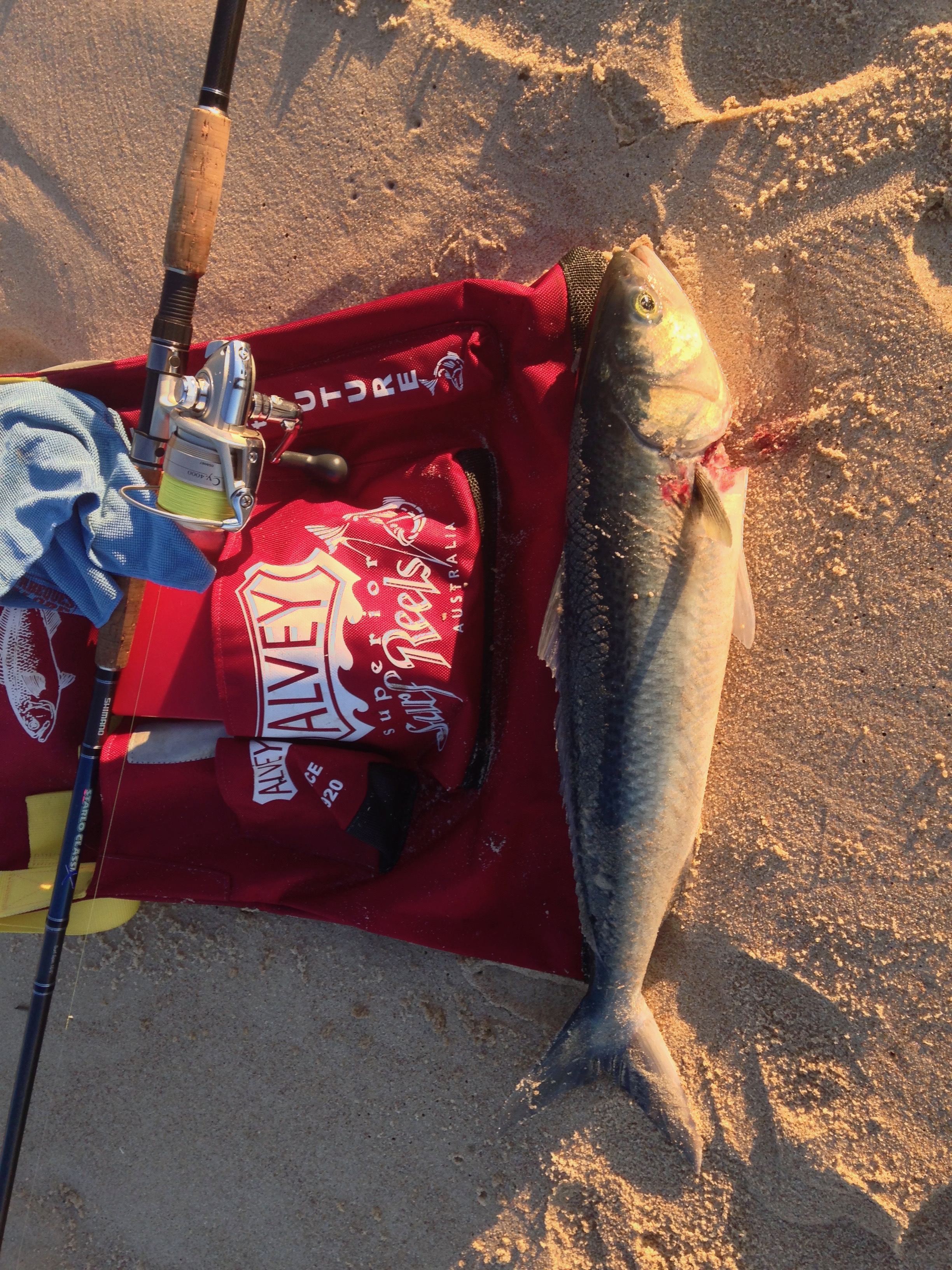 Spinning Lures in the Surf - Fishing Chat - DECKEE Community