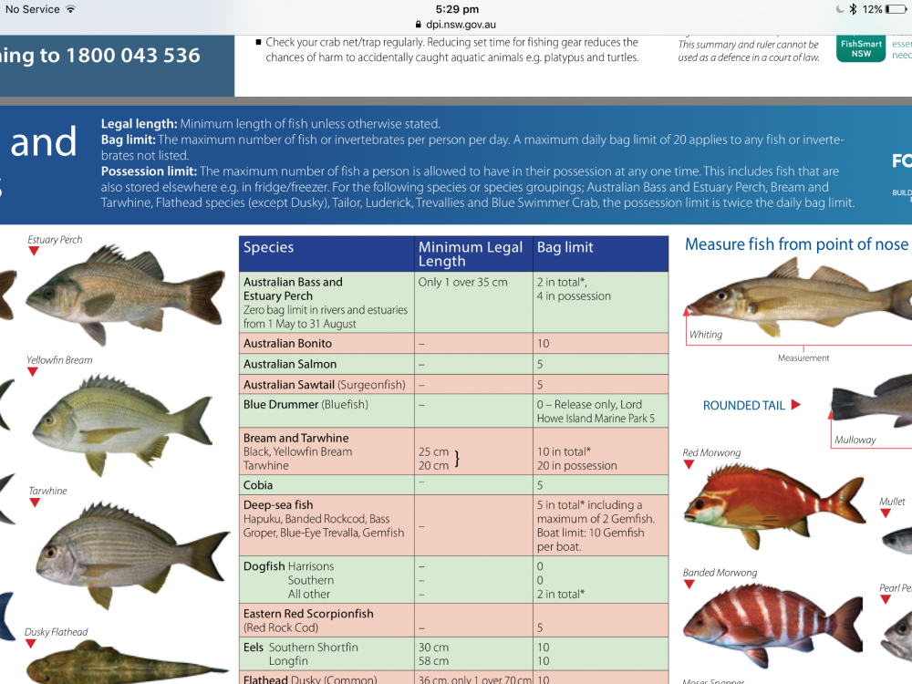 Legal size for dart fish - Fishing Chat - Fishraider