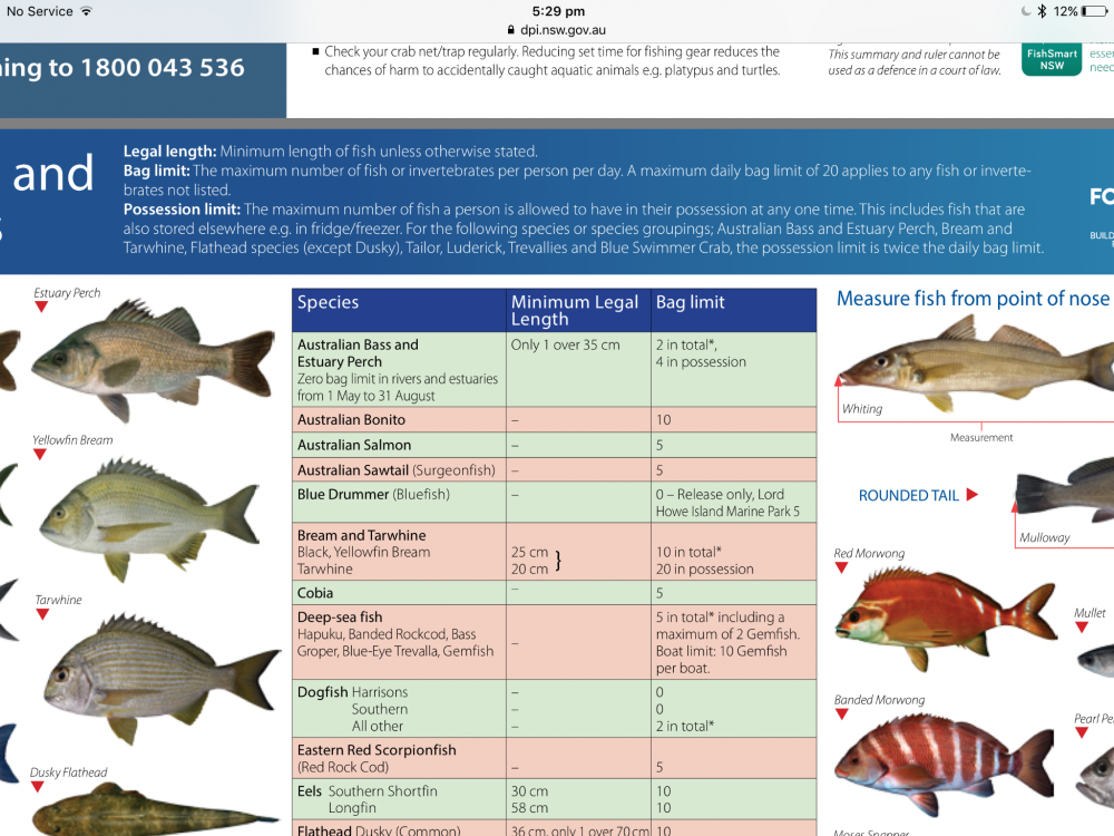 Legal Size For Dart Fish Fishing Chat Fishraider