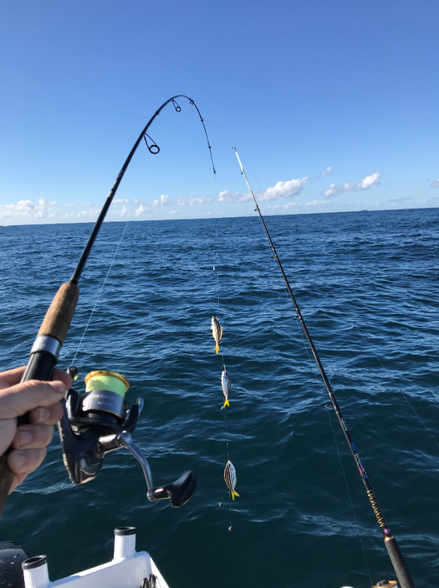Lazy Winters Day Swansea Offshore - Fishing Reports - DECKEE Community