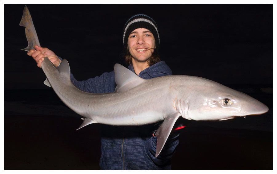 Why do we love fishing - Fishing Chat - DECKEE Community