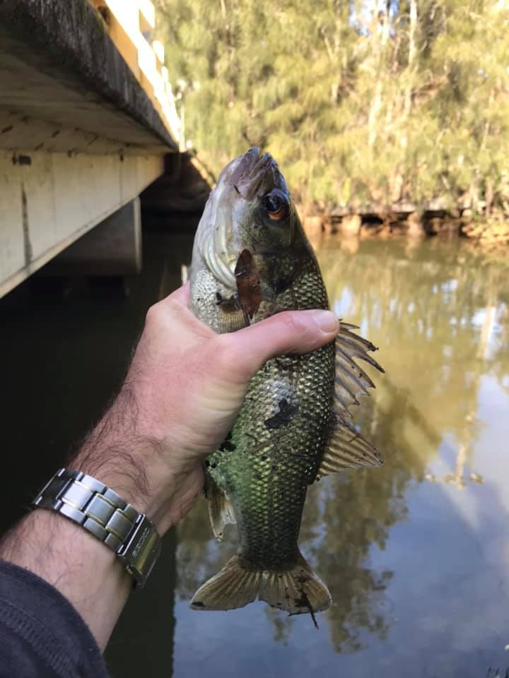 Creek Fishing Adventures 