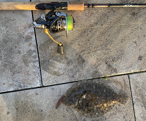 147cm (of) Flathead! - Fishing Reports - DECKEE Community