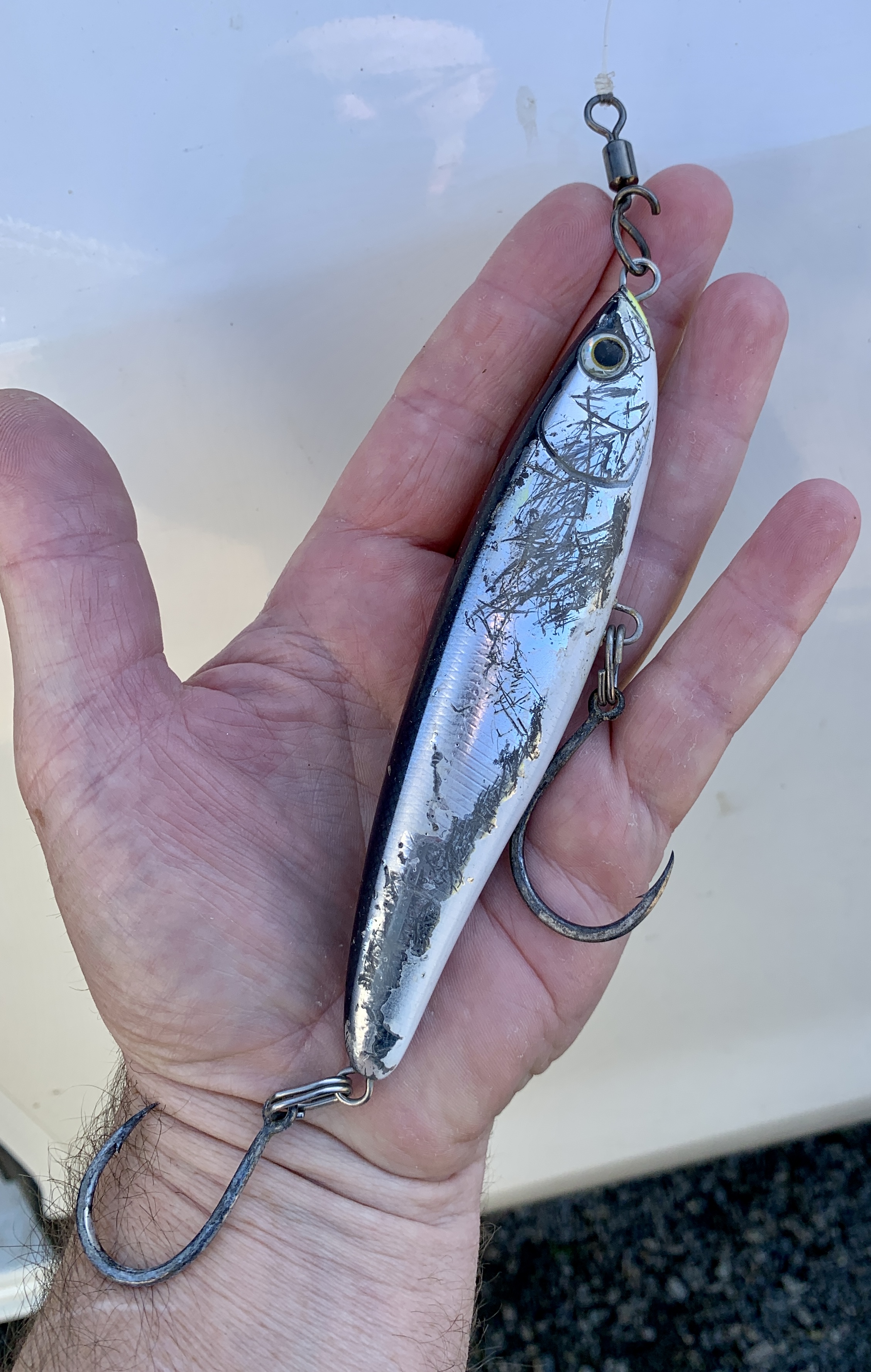 Tuna on a three piece travel rod - Fishing Reports - DECKEE Community