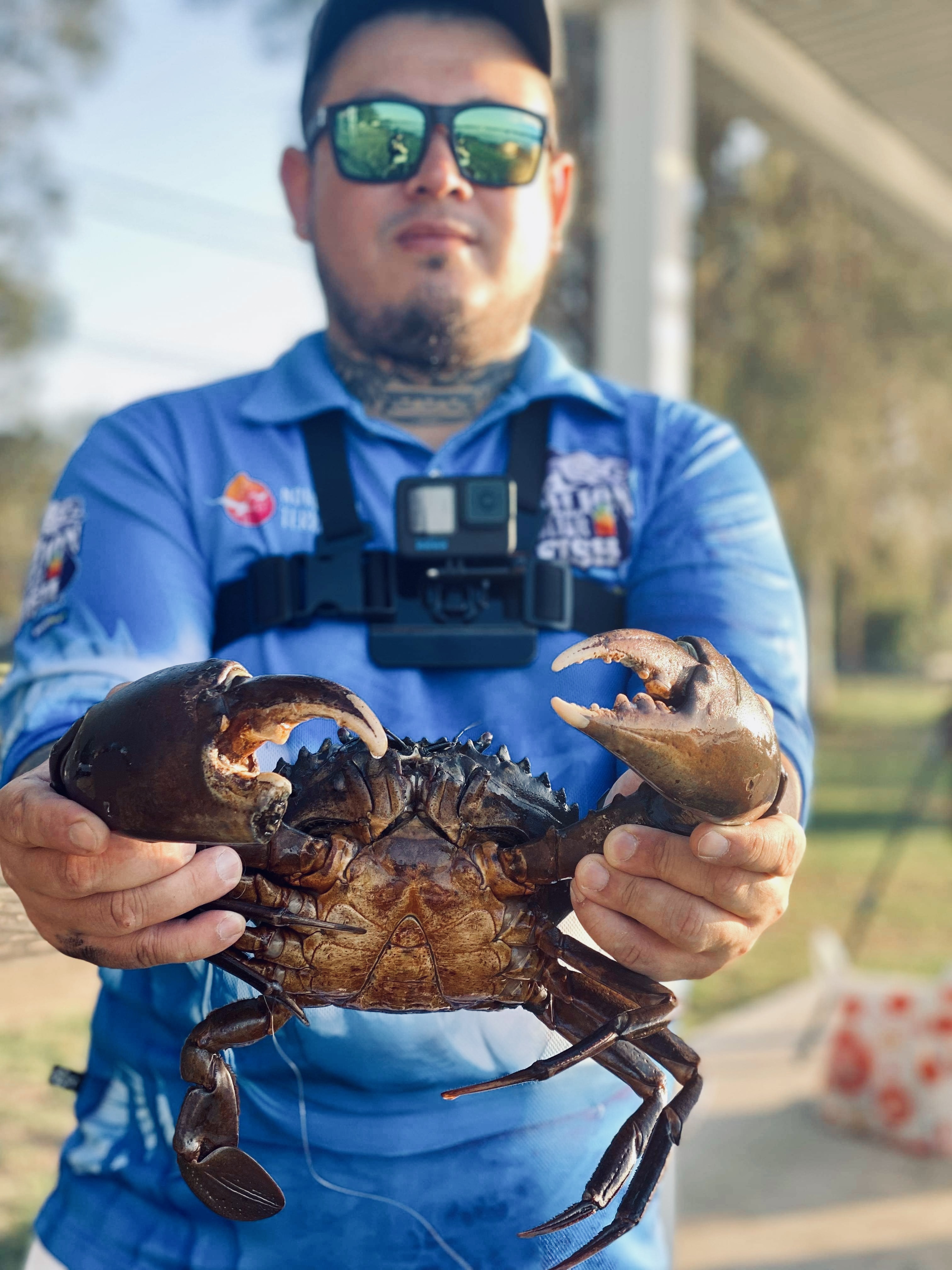 Central Coast NSW Big mud crab caught D Fishing Reports DECKEE