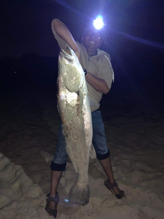 Mulloway (Jewfish) Bait Fishing Records DECKEE Community