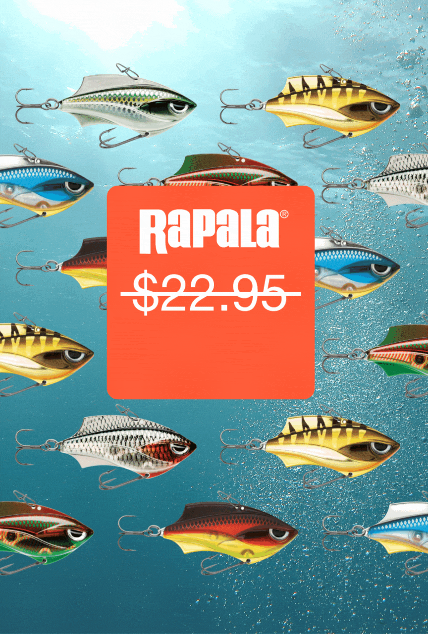 48 Hours Only: 56% OFF Rapala Rap-V Blade Lures - Tackle Talk - DECKEE  Community