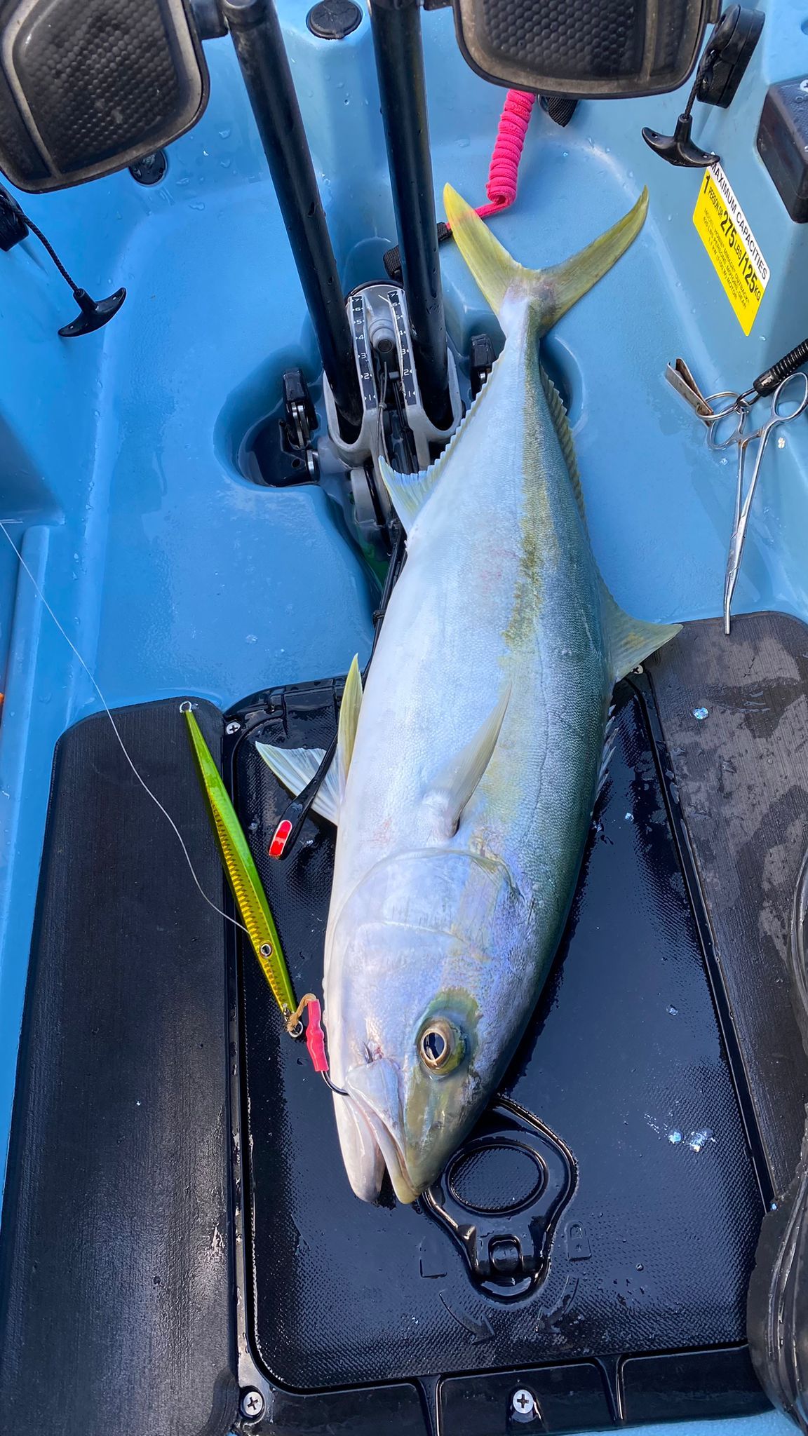 what type of lure for Kingfish - Fishing Chat - DECKEE Community