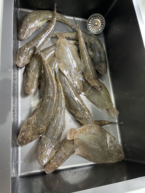 Brays bay and entrance - Fishing Reports - DECKEE Community