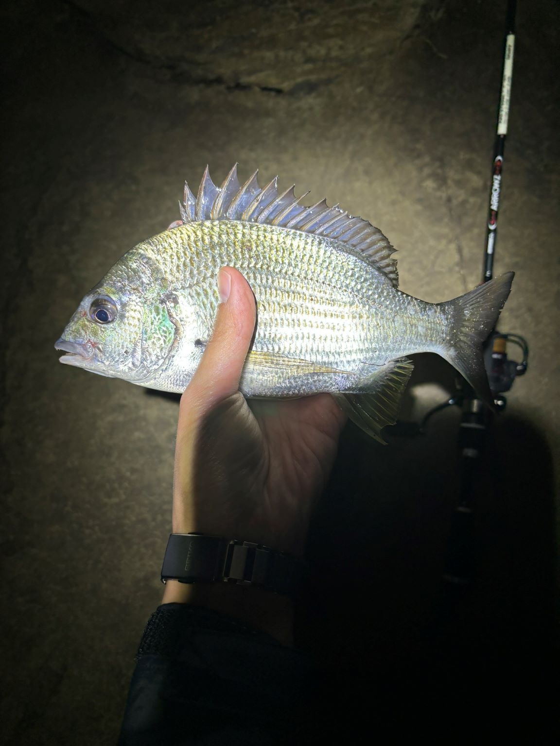 Night fishing with soft plastics produces the goods - Saltwater