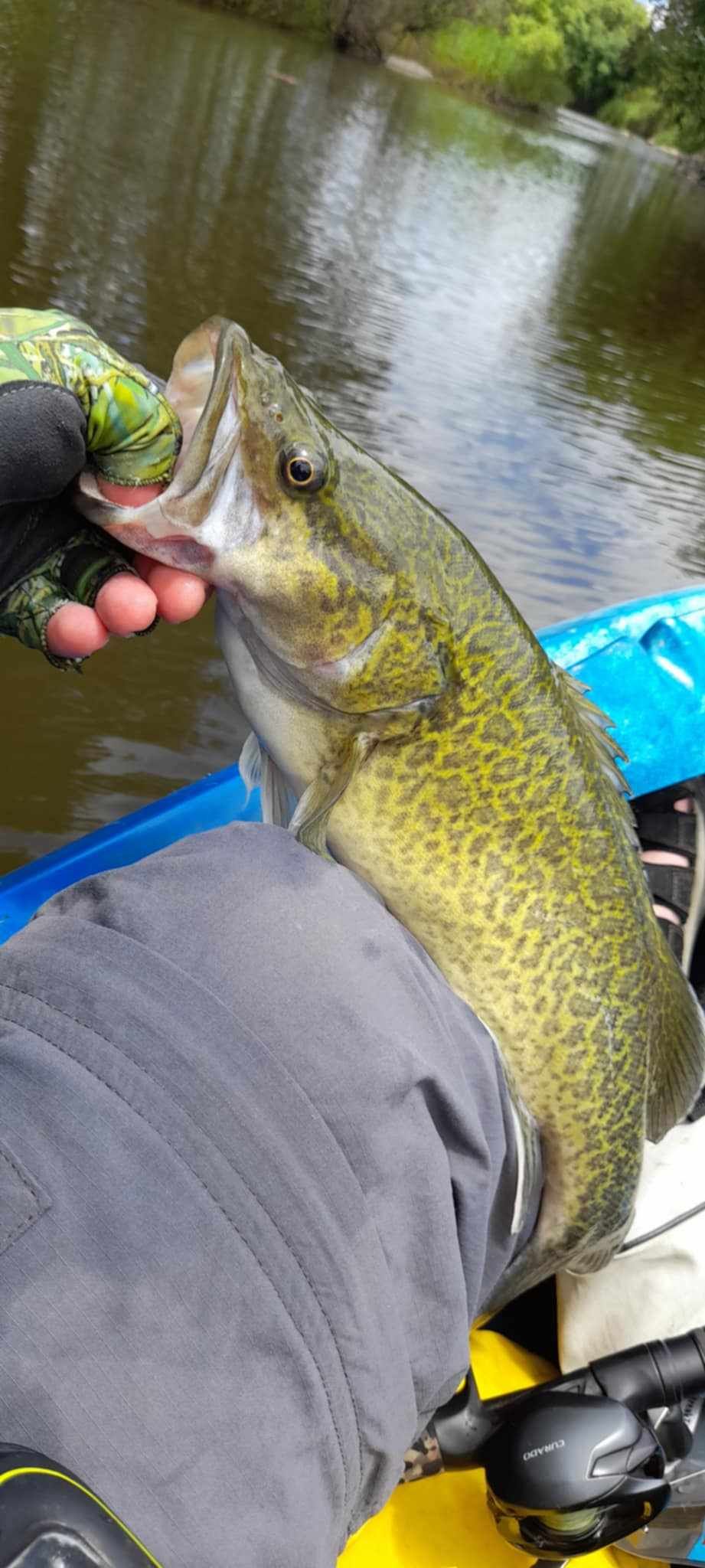 Cod Fishaways Another cod kayak mission - Freshwater Fishing Reports - DECKEE Community
