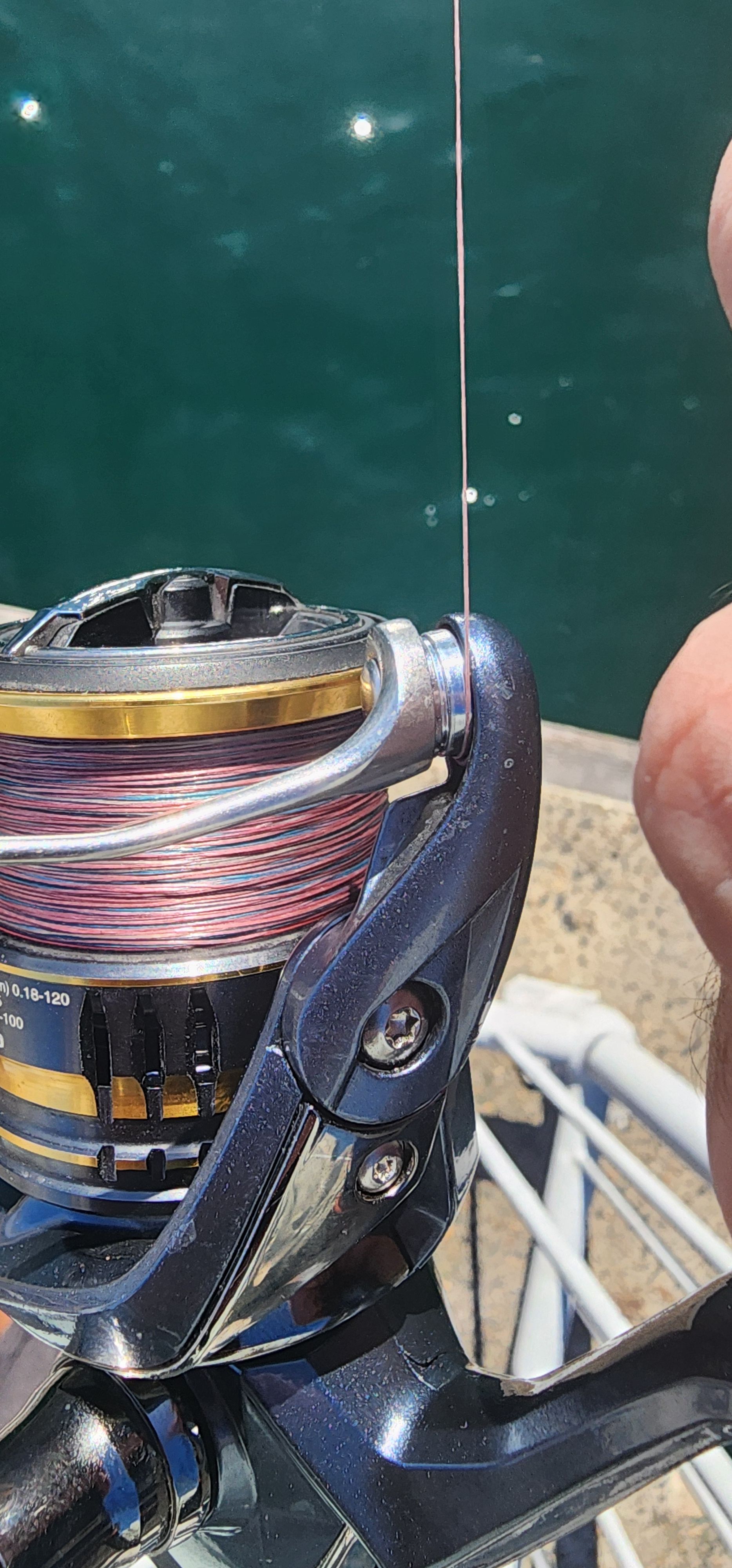 best small fish finders Amazon Sellers: Best & Depth Finders Fishing Tackle Best Bass Color:Leopard Frog LIFE 60