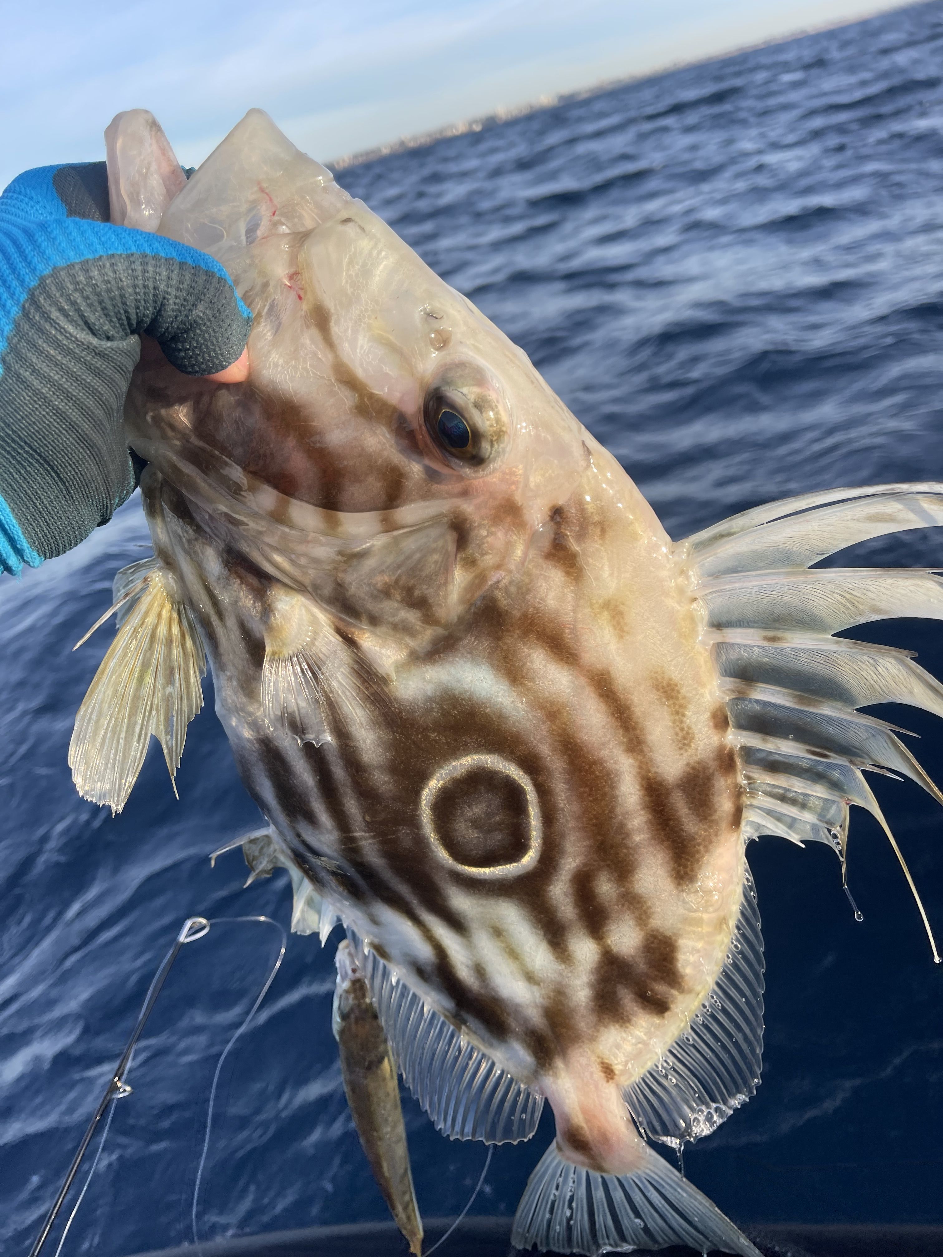 Fishing for Johnny - Saltwater Fishing Reports - DECKEE Community