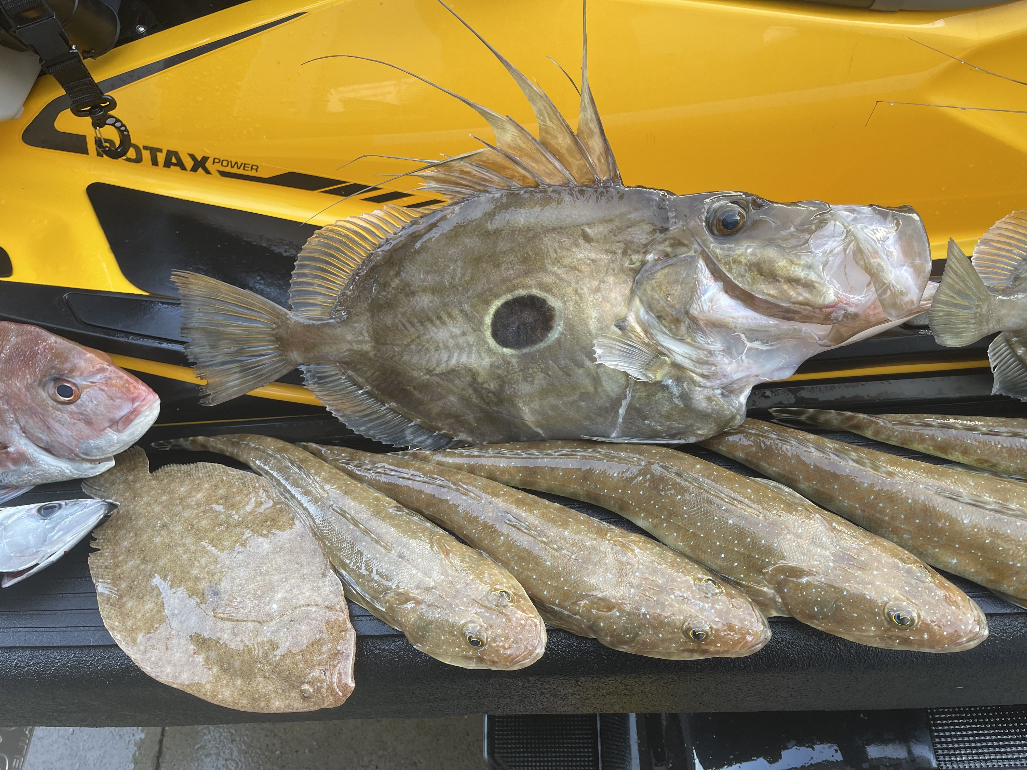 Fishing for Johnny - Saltwater Fishing Reports - DECKEE Community