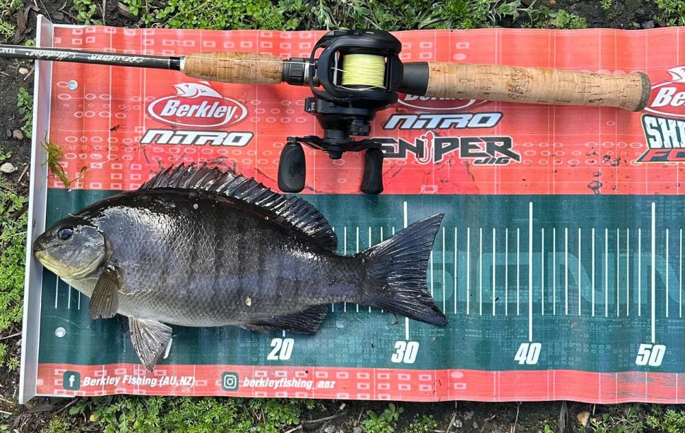 Muckin’ Around - Saltwater Fishing Reports - DECKEE Community