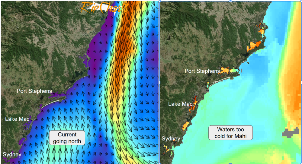 Fads still dead, “Secret coordinate info shared” - Saltwater Fishing ...