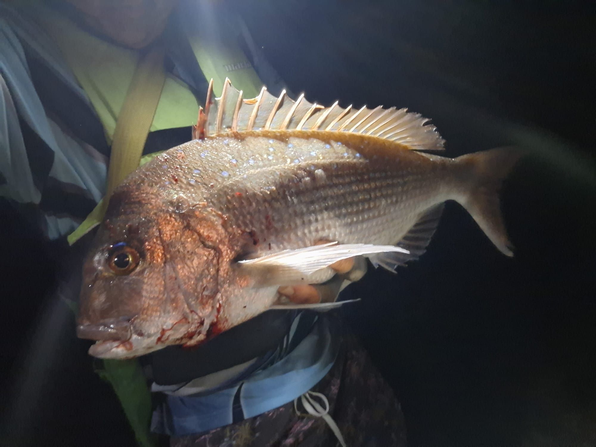 Over-nighter session - Saltwater Fishing Reports - DECKEE Community