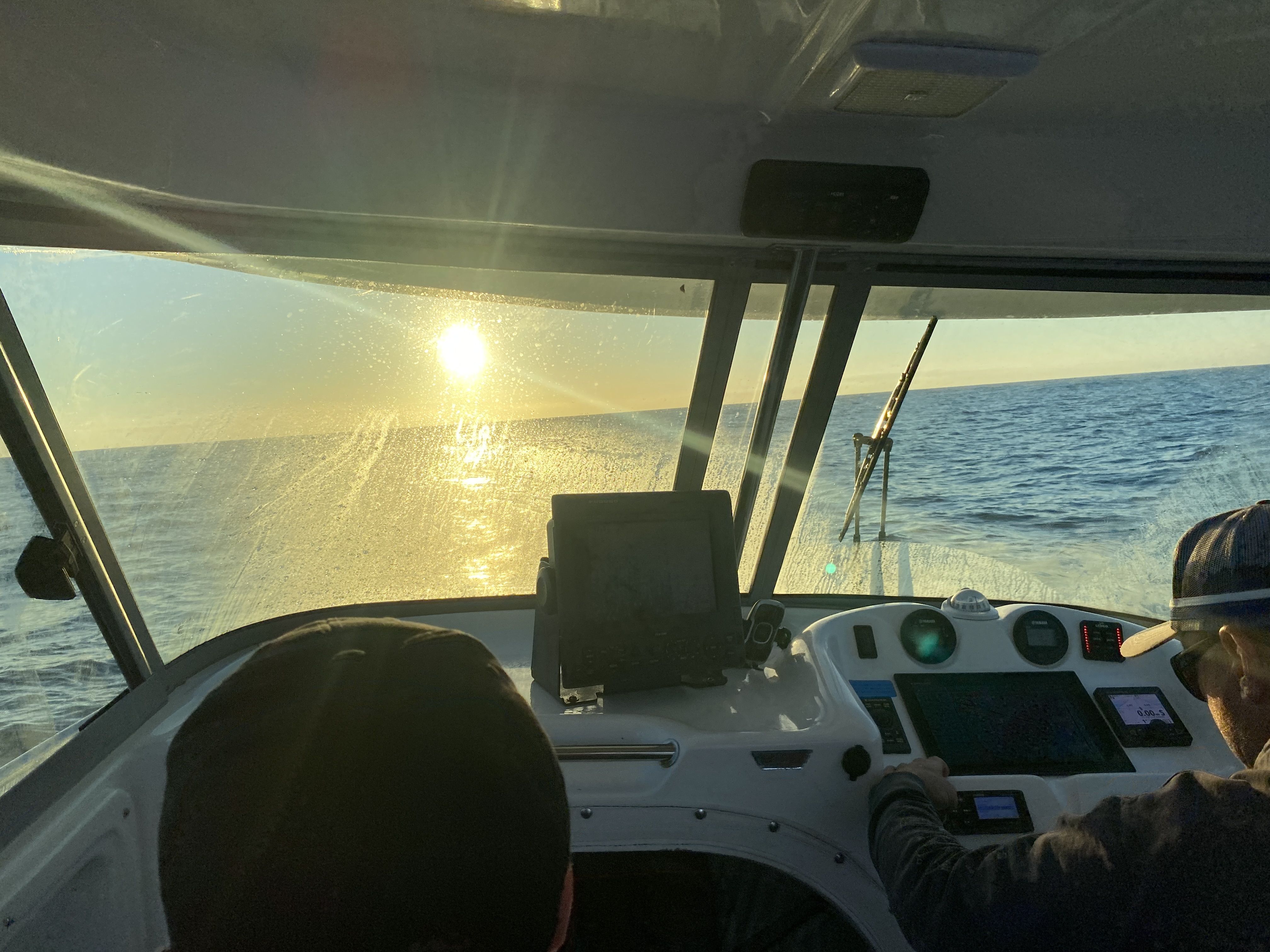 A morning out, with a good feed of snapper - Page 2 - Saltwater Fishing ...