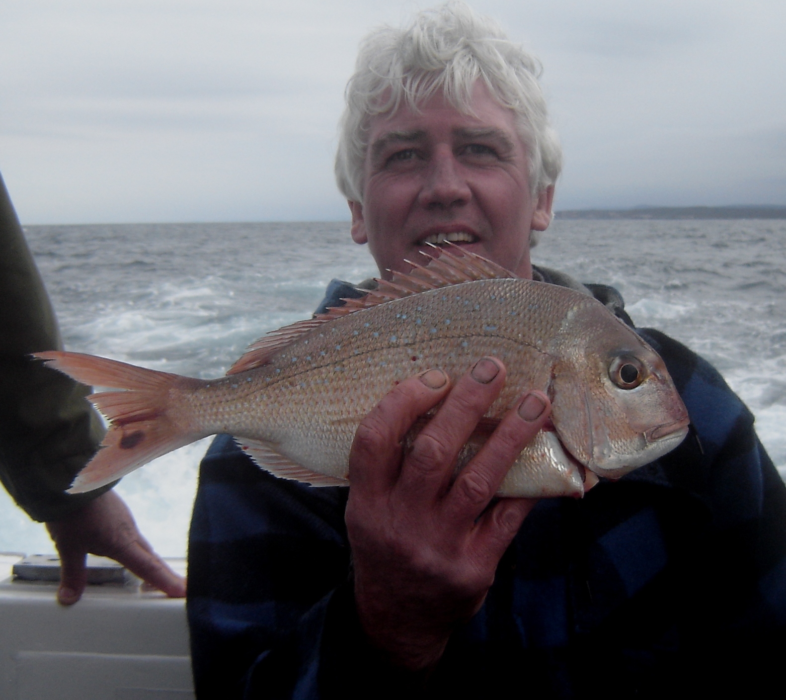Snapper On The Weekend - Fishing Reports - DECKEE Community