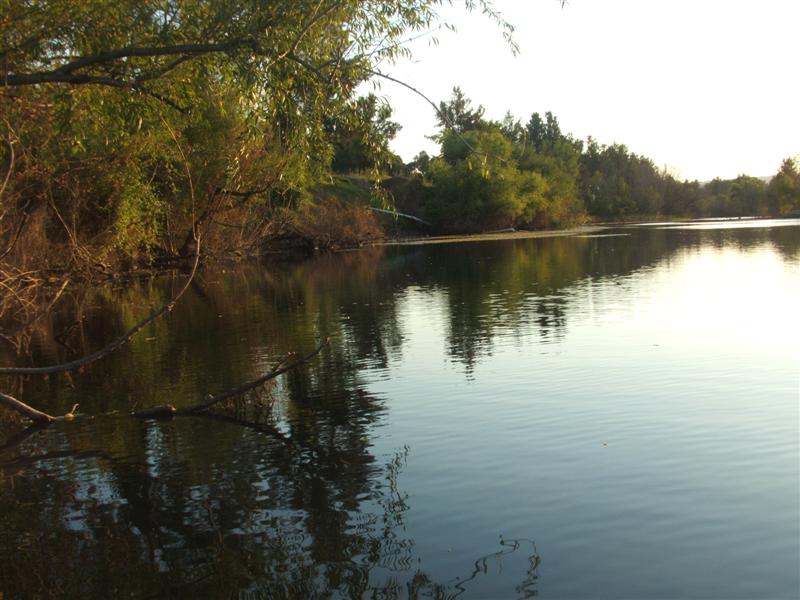 Fishing Lane Cove River - Fishing Reports - DECKEE Community